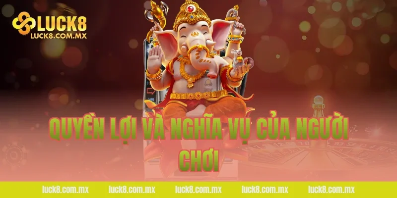Quyền lợi và nghĩa vụ của người chơi