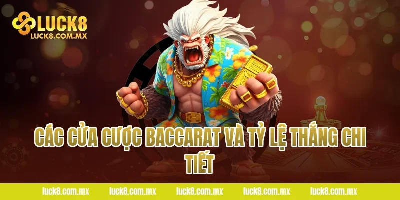Các cửa cược Baccarat và tỷ lệ thắng chi tiết