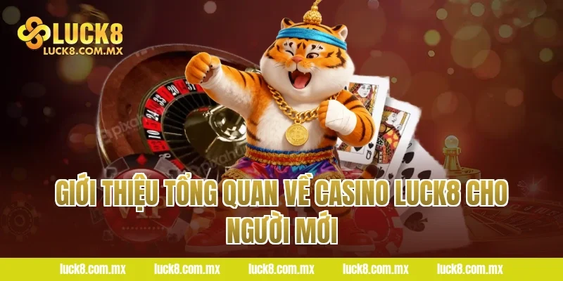 Giới thiệu tổng quan về Casino Luck8 cho người mới