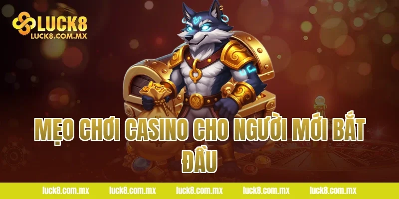 Mẹo chơi casino cho người mới bắt đầu